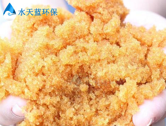 乐动官方网页版交换树脂内部-(6).jpg